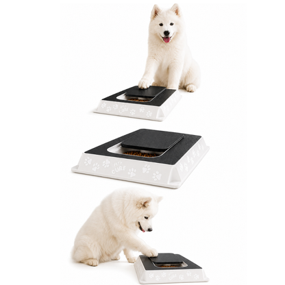Caixa Lixa para Pets - Brinquedo Interativo e Lixa Natural para Unhas