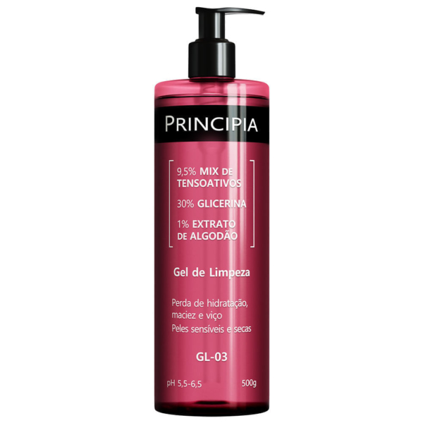 Gel De Limpeza Principia Gl-03 500gr
