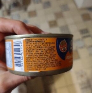 Gomes da Costa Atum Ralado em Óleo